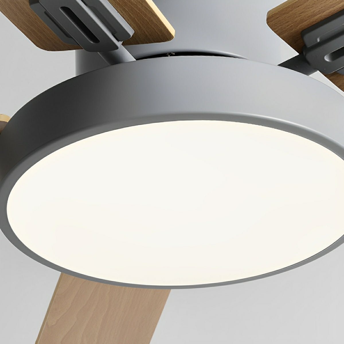 Modern Minimalist 6-Speed Reverse Frequency Conversion Ceiling Fan Light