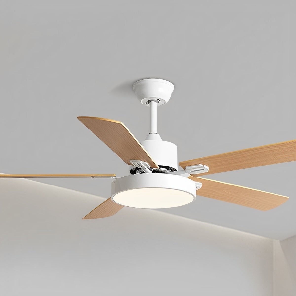 Modern Minimalist 6-Speed Reverse Frequency Conversion Ceiling Fan Light