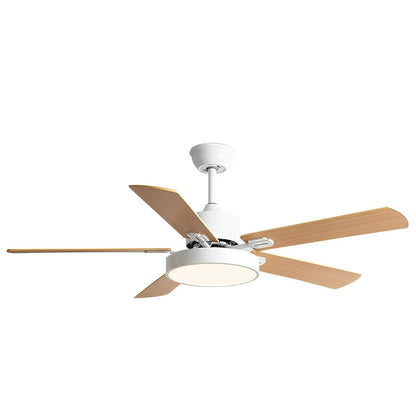 Modern Minimalist 6-Speed Reverse Frequency Conversion Ceiling Fan Light
